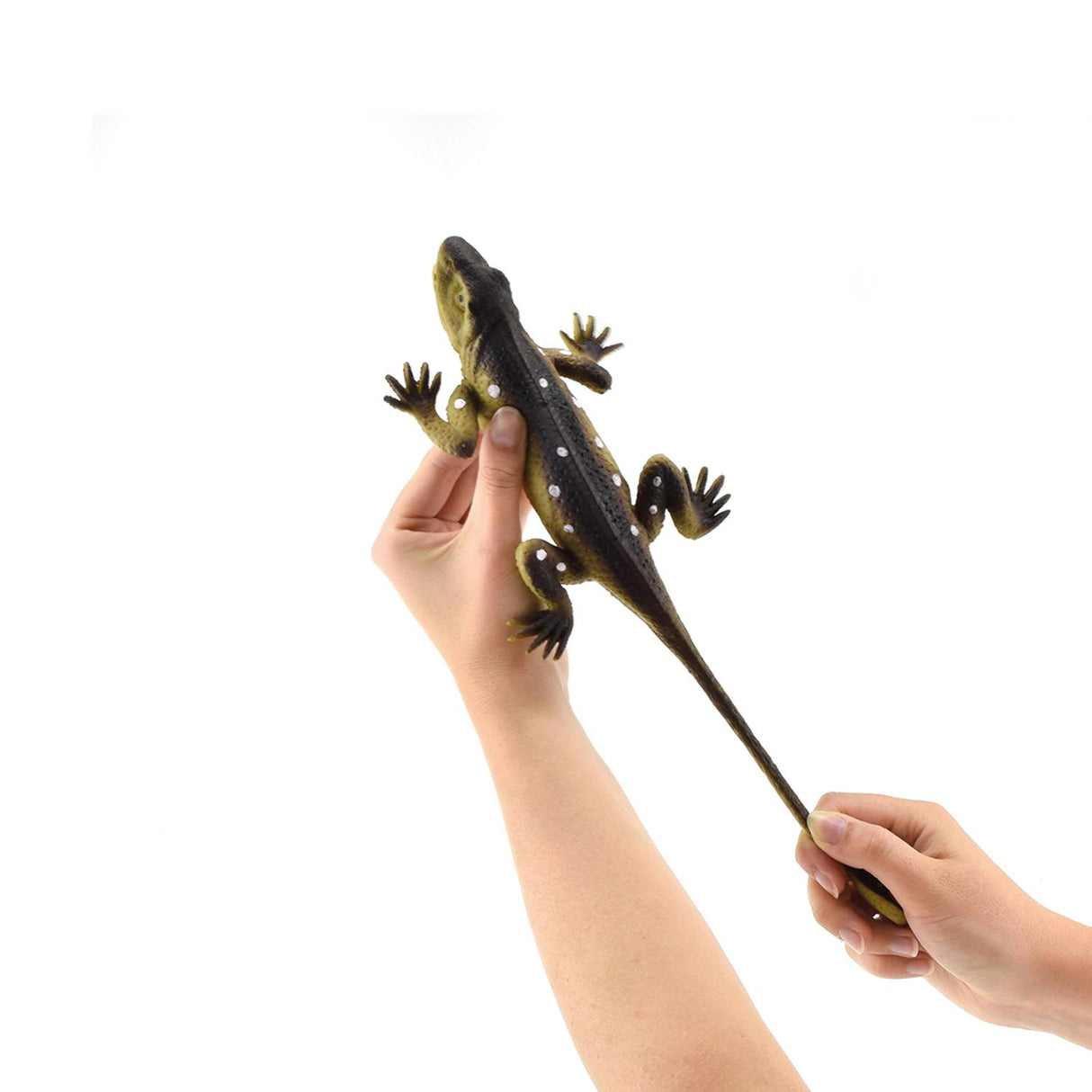 Toi-toys Reptil lebensecht auf Karte