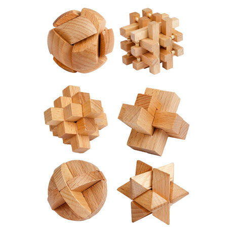 Toi-toys houten breinpuzzel