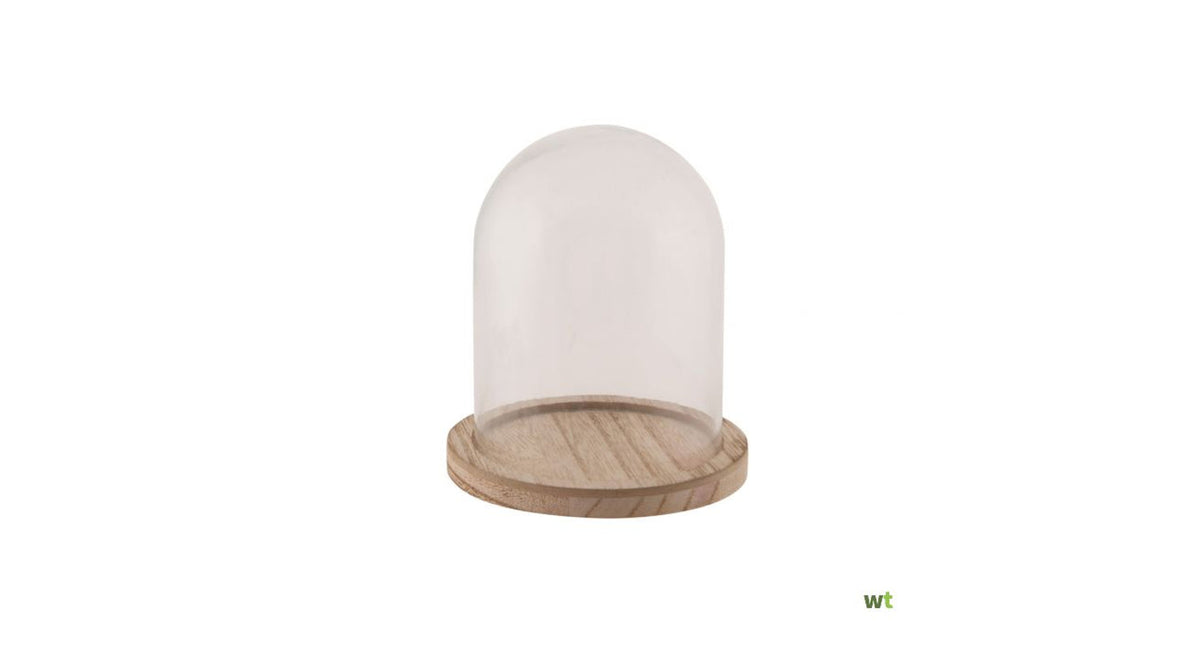Stolp glas met houten bodem ø12,5x17cm transparant