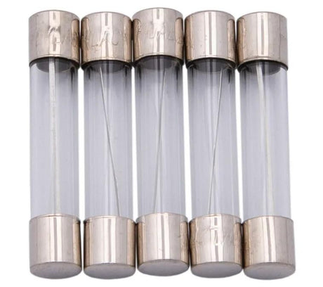 Dresselhaus Glassicherung Glassicherungen 6x32mm 10a f. amerikanisches fahrz.