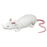 Set Tierwelt Rattenstretch 3-fach sortiert