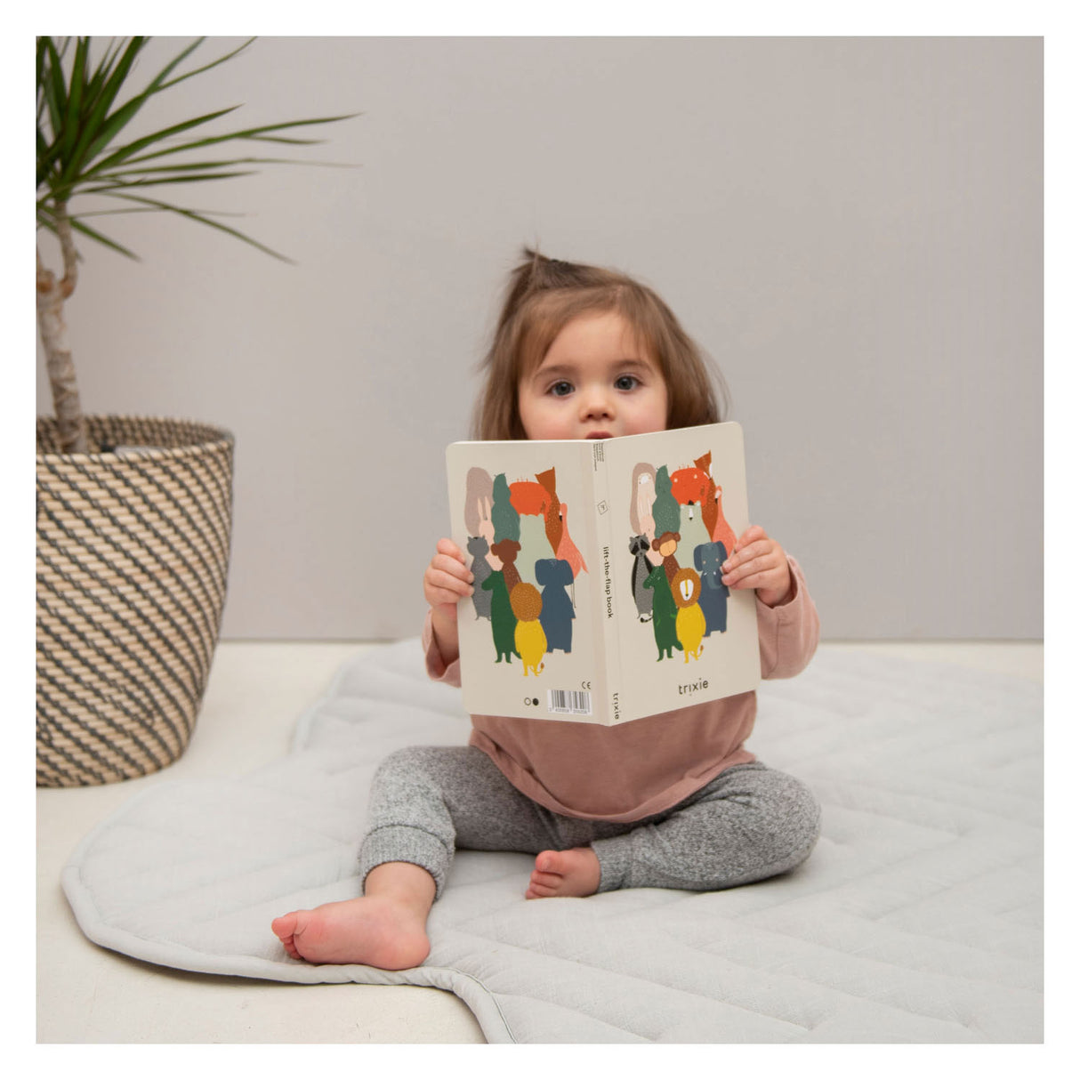 Trixie Klappenbuch Tiere