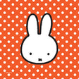 Haza Whitebeard Miffy Servietten, 20 Stk.