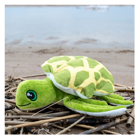 Taktik retten die Meeresumarmung - Turtle Konna