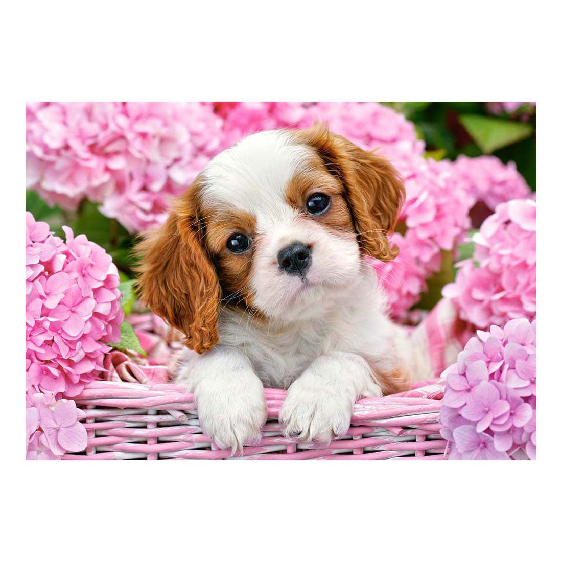 Selecta Castorland Puzzle Welpe in rosa Blumen, 500 Teile.