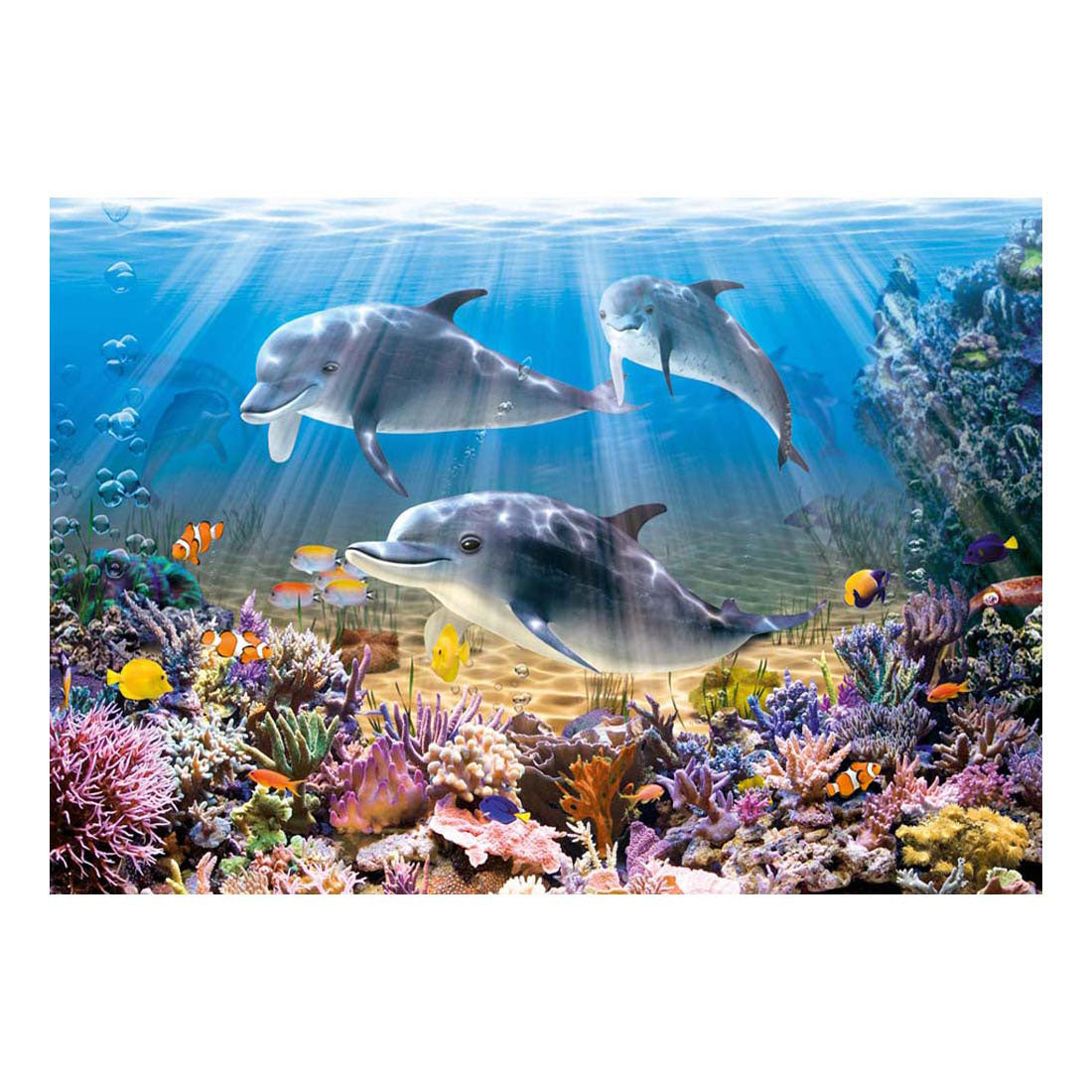 Selecta Castorland Puzzle Delfine unter Wasser, 500 Teile.