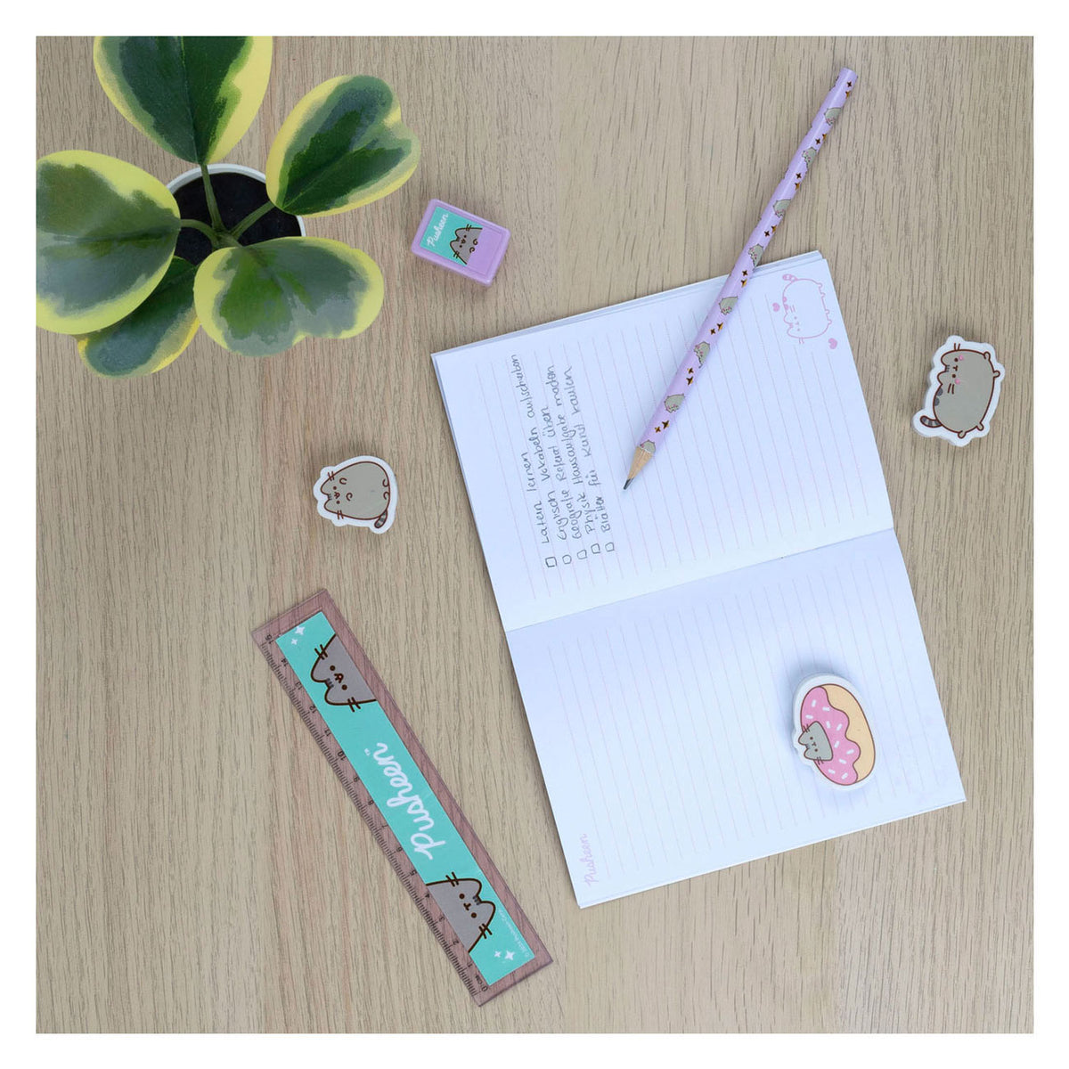 Undercover notitie set in etui pusheen the cat