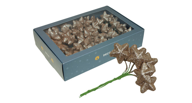 W b. 18x6 sparkling stars wire champagne 40mm
