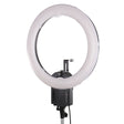 Falcon Eyes Ringlampe flc-65 65w + tmb-20z