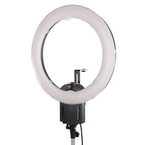 Falcon Eyes Ringlampe flc-65 65w + tmb-20z