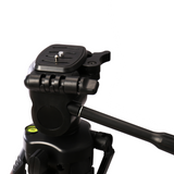 Neststativ + Kopf WT-3530 H147 cm