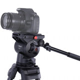 NEST VIDEO TROMTOD NT-670 + FLIC-DEUKTIONED