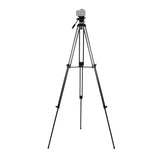 NEST VIDEO TROMTOD NT-777 + FLIC-DEUKTEN