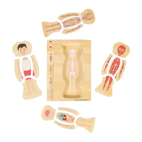 Bigjigs Anatomie-Puzzle aus Holz – Junge, 26 Teile.