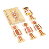 Bigjigs Anatomie-Puzzle aus Holz – Mädchen, 26 Teile.
