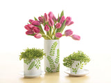 Martha Stewart • Finish: 6 Unzen Glitzer