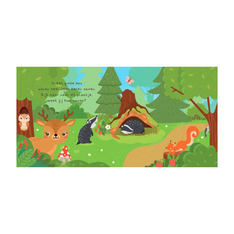 Laternenverleger, könnt ihr mich finden? Im Wald-Lesebuch und 20 Memokarten