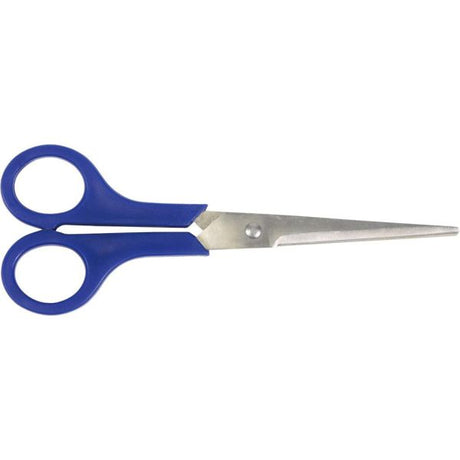 Schere Edelstahlzyklus 20 cm