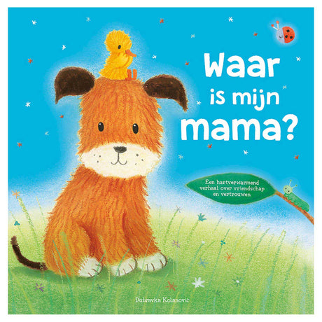 Rebo-Verlage: Wo ist meine Mutter?