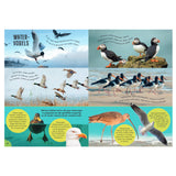 Vögel des Rebo-Verlags – Führer und Naturtagebuch für Kinder