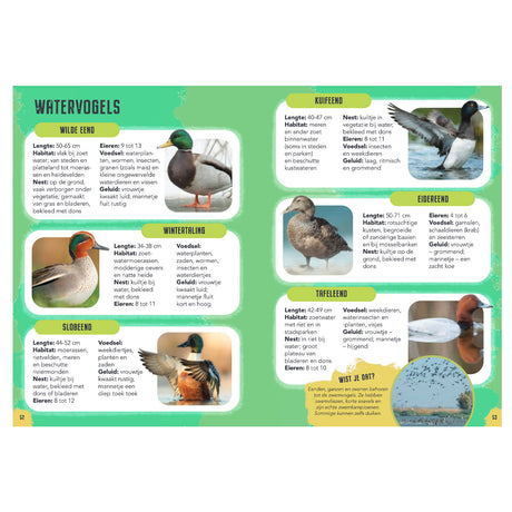 Vögel des Rebo-Verlags – Führer und Naturtagebuch für Kinder