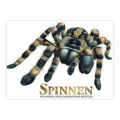 Buch des Rebo-Verlags über Spinnen, furchterregende Kreaturen