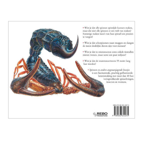 Buch des Rebo-Verlags über Spinnen, furchterregende Kreaturen