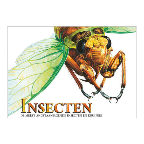 Buch des Rebo-Verlags über Insekten, furchterregende Kreaturen