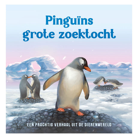 Rebo Publishers Penguins große Suche