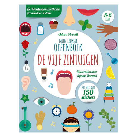 Rebo veröffentlicht das Fünf-Sinne-Best-Übungsbuch