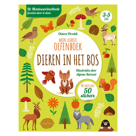 Rebo-Verlag Tiere im Wald – meine schönste Übungsbox