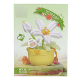 Bouwset plant in pot