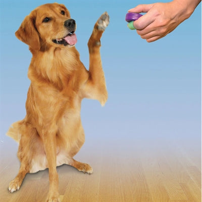 Clik-R PetSafe Clicker zum Training