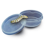 SES erforschen - Insektenforscher