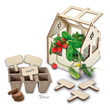 SES -Gewächshaus mit Gemüse