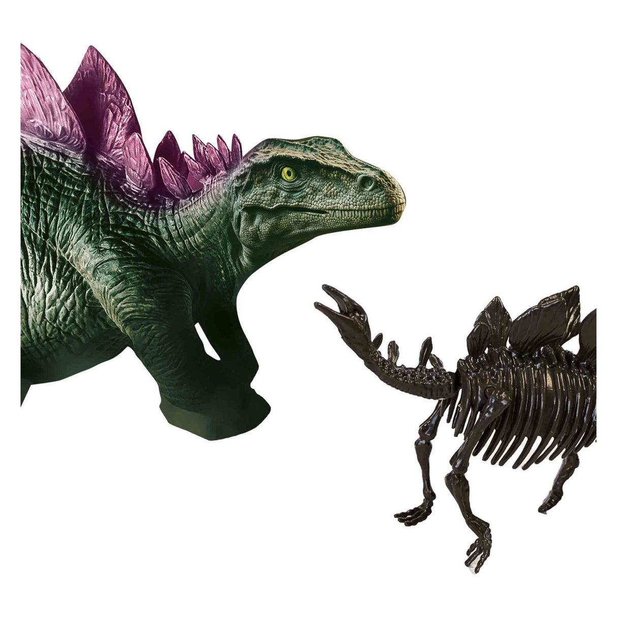 SES erforschen Dino und Skelett 2in1-Stegosaurus ausgegraben