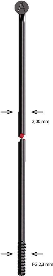 Alpina Speiche Speiche Edelstahl 2x168mm
