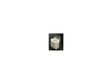 Wicotex douchegordijnringen 5,5x4cm pak a 12 ringen