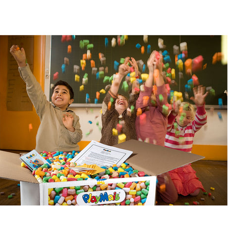 Playmais Eduline großes Set (> 6.300 Teile)