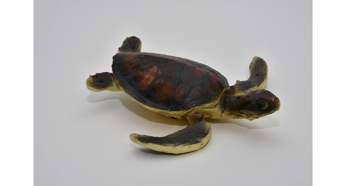 Schildpad 18x6x19 cm