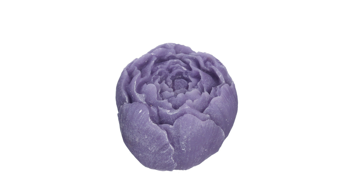 Pioenroos amberblok deluxe ø6,5 h.5,5 cm lavender