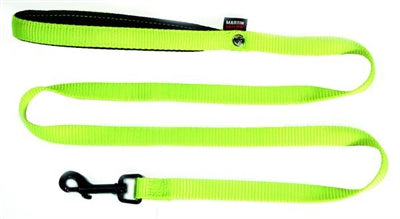 Martin Hundeleine Nylon grün