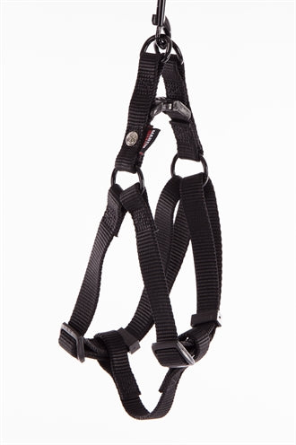 Martin Einsteigergeschirr Nylon schwarz