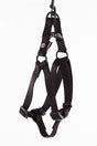 Martin Einsteigergeschirr Nylon schwarz