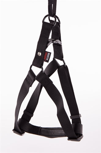 Martin Einsteigergeschirr Nylon schwarz