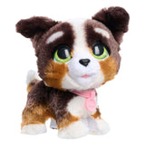 Spectron Furreal läuft viel Bernedoodle