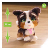 Spectron Furreal läuft viel Bernedoodle