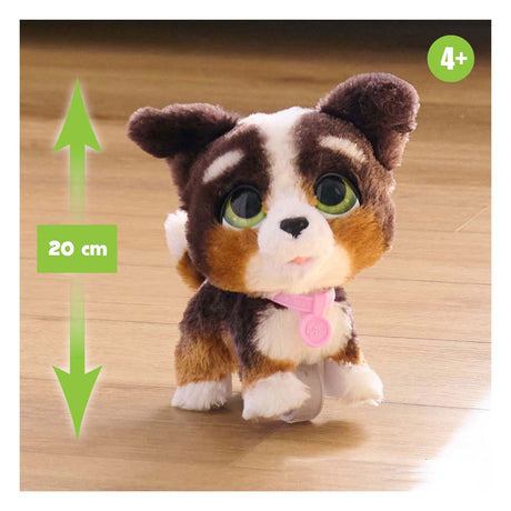 Spectron Furreal läuft viel Bernedoodle