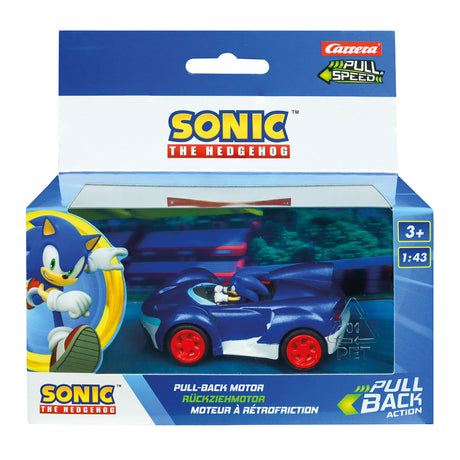 Nehmen Sie das Auto -Team Sonic Racing zurück - Sonic Speed Star