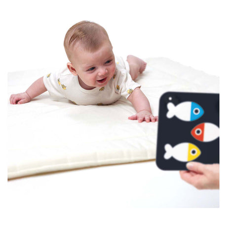 Bananenpanda – kontrastreiche Babykarten 0 Monate+ 3 Monate+ – 24 Stück.